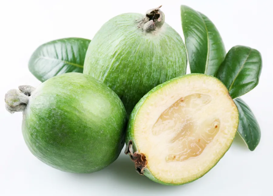 Close-Up View of a Fresh Feijoa Fruit