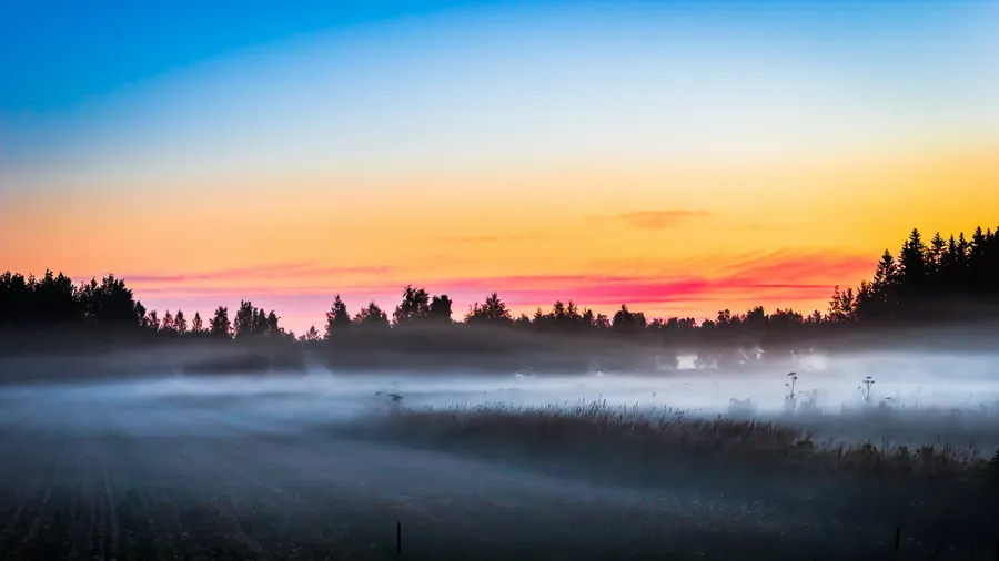 Fog Background