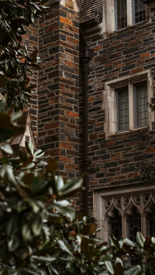 Embody the Intellectual Mystique with this Dark Academia Aesthetic Background