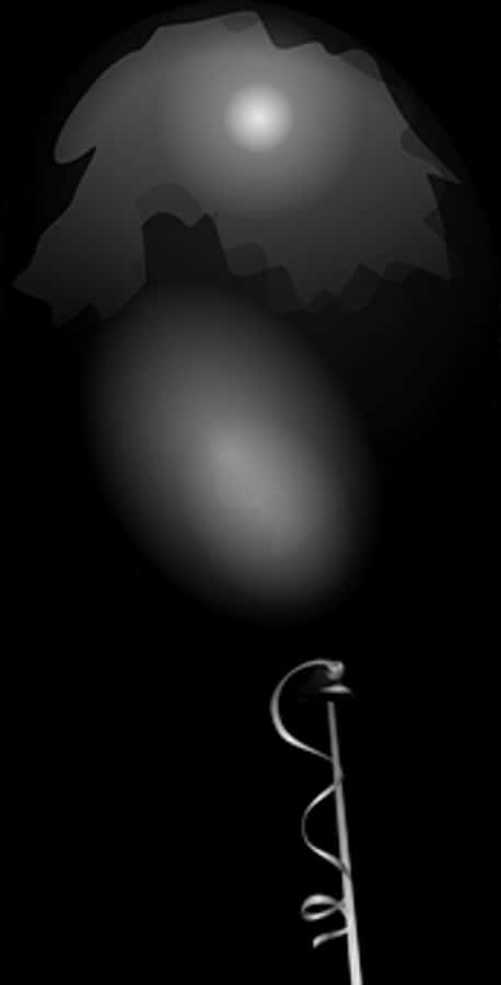 Monochrome Balloon Illustration