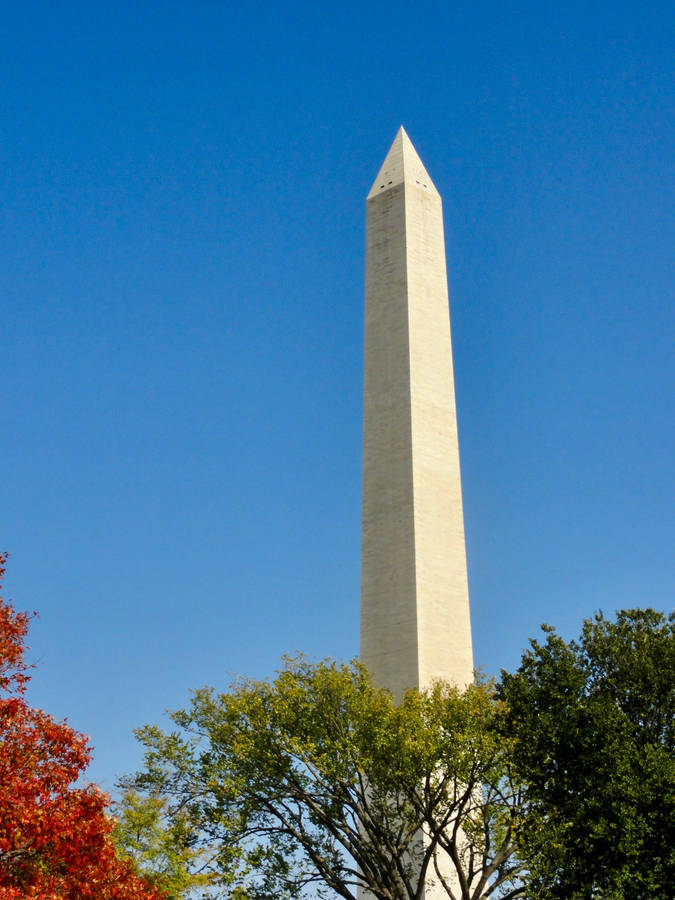 NationalMall Monument in der Nähe von Bäumen
