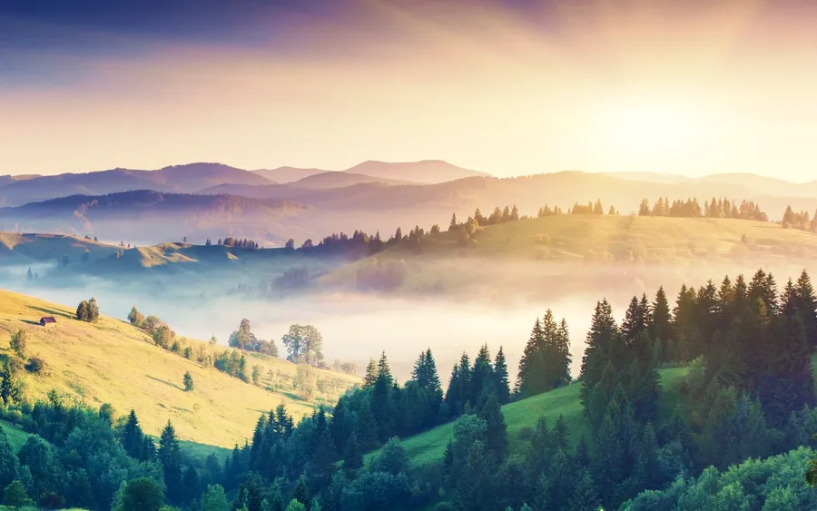 Cool Landscape
