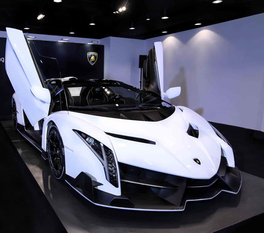 Elegantee mozzafiato Lamborghini Veneno in azione