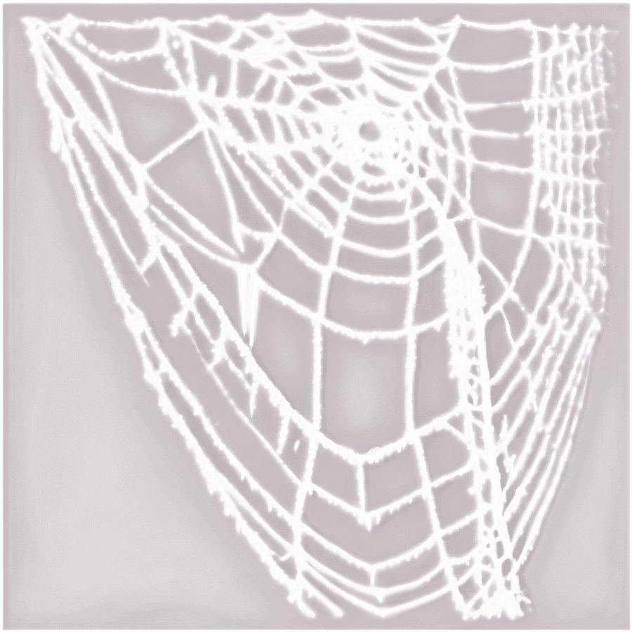 cobwebs a