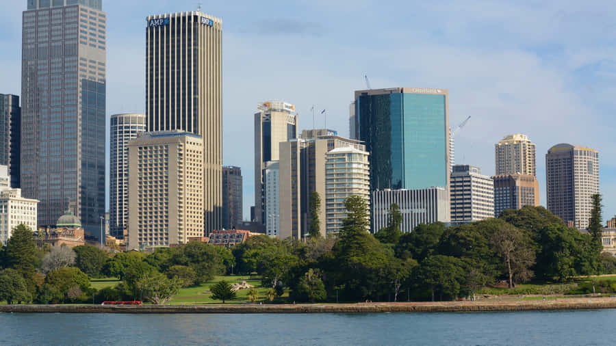 Sydney Skyline Från Royal Botanic Garden