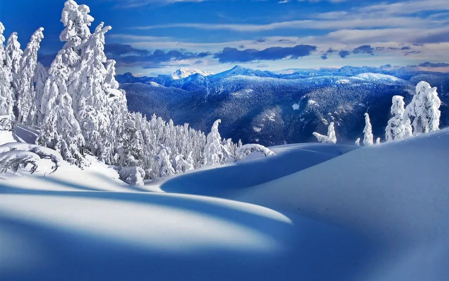 Mountain Scenes