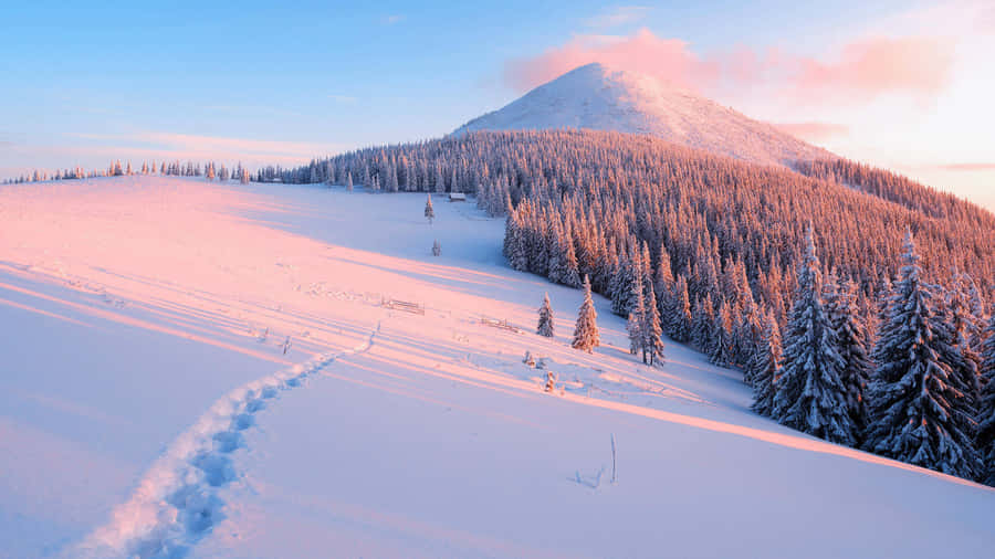 Estética do Amanhecer em Montanha Nevada