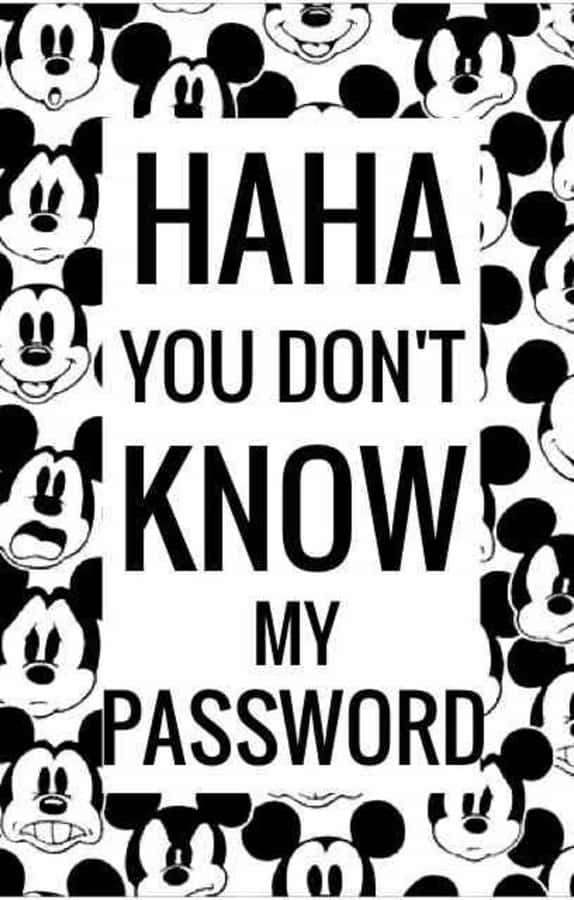 Mickey Passord Provokasjon