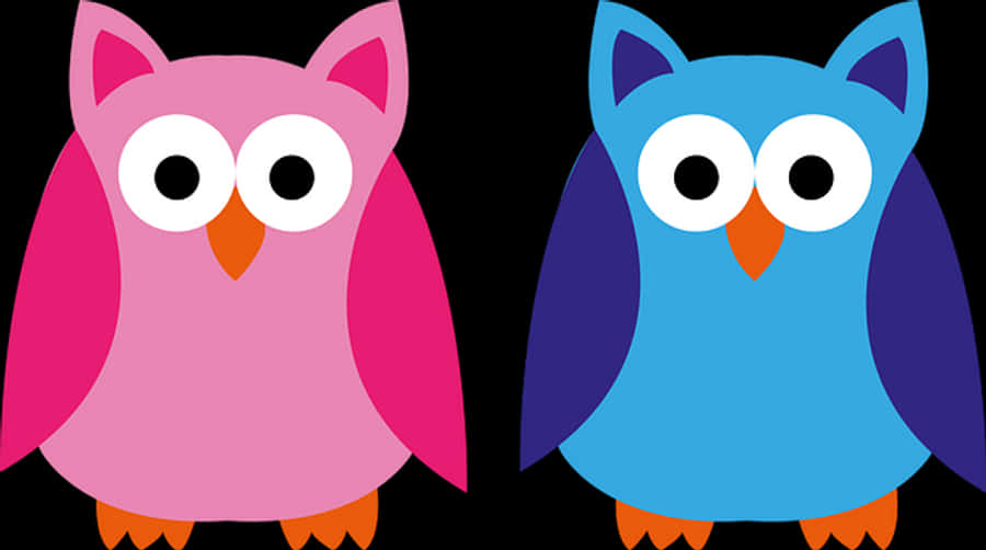 Colorful Cartoon Owls Illustration