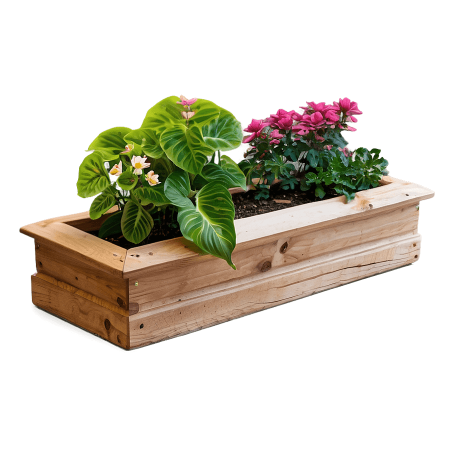 Flower Planter Box PNG 06282024