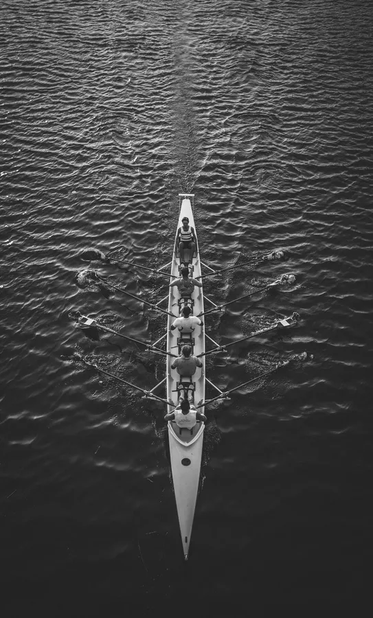 Rowing Race Greyscale wallpaper.
