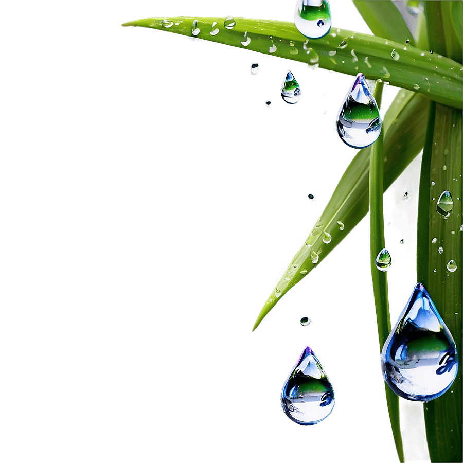 Fresh Dew Drops PNG kay13
