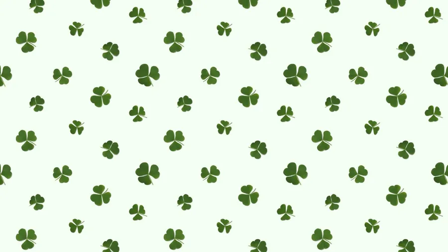 Pattern Background