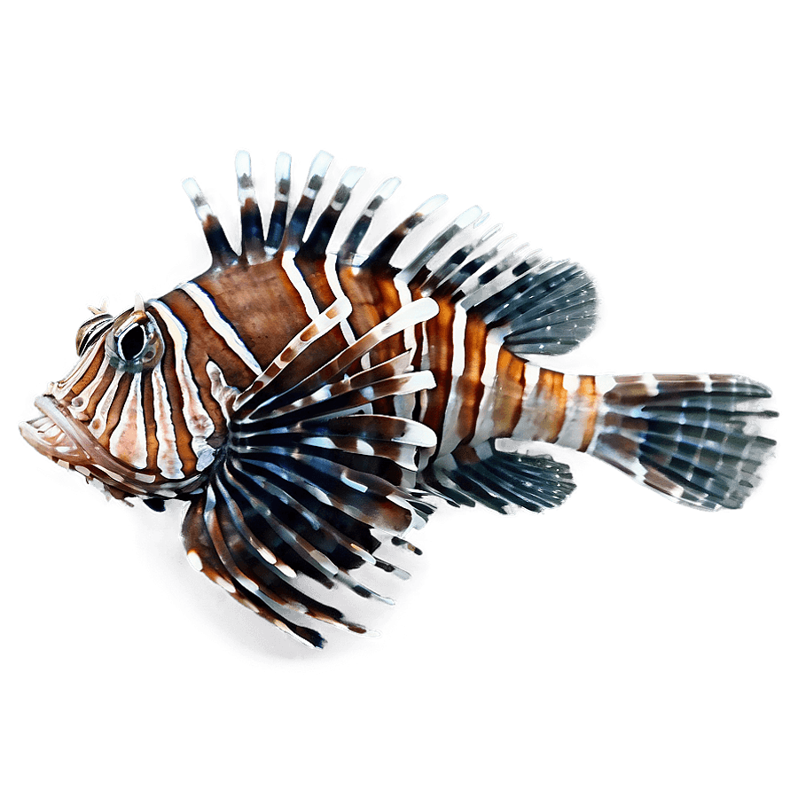 Intriguing Lionfish PNG 38