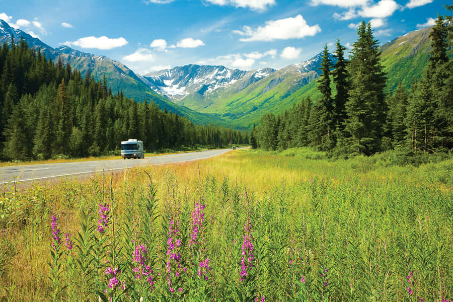 Bildvon Anchorage, Alaska: Grüne Wiesen und Berge
