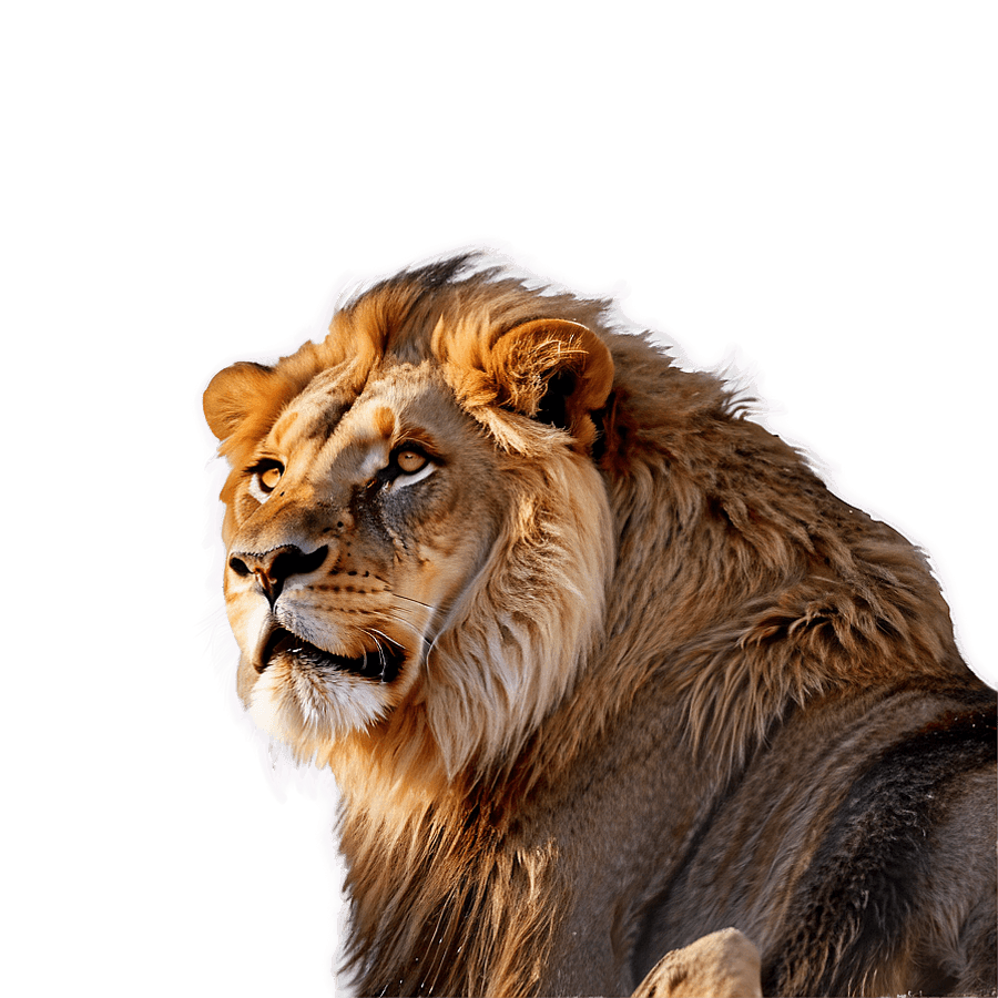Fiery Lion PNG eoj