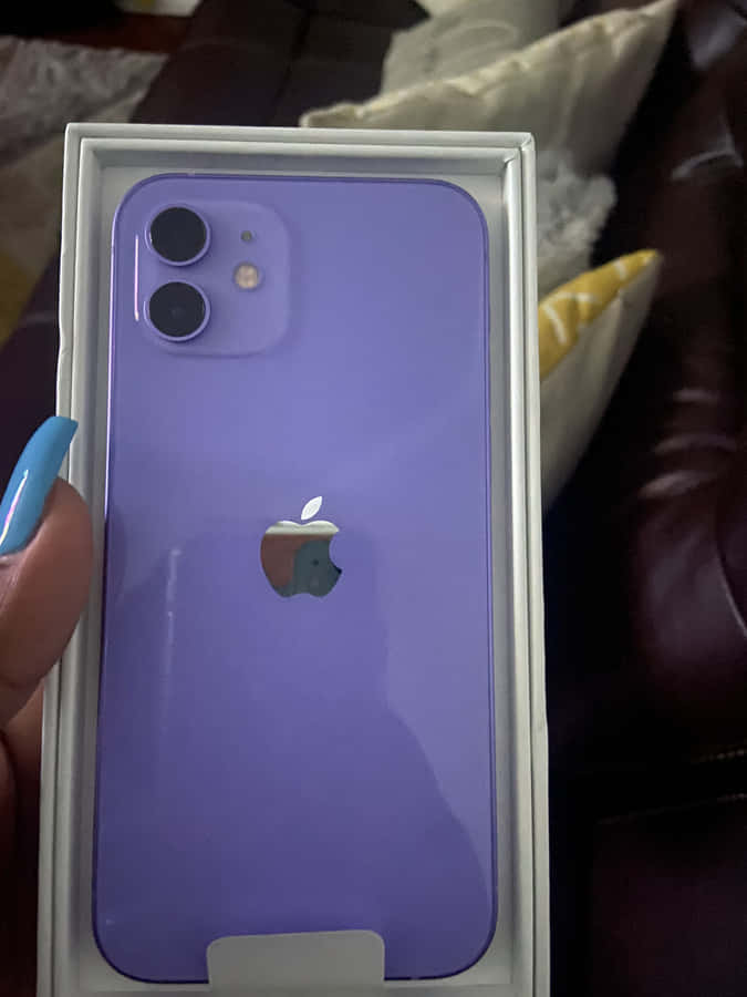 iPhone 12 pictures