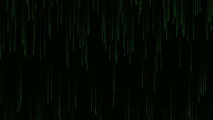 Green digital code falling like rain on a black screen.