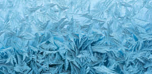 Frosty ice crystals on a window with blue gradient background — 2220x1080 Picture