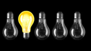 A single lit light bulb among unlit bulbs on a black background. — Nature Landscape Picture