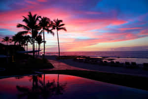 Palm trees and beach chairs at sunset with colorful sky reflected in pool — 3000x2000 Picture