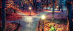 Winding park path at dusk with glowing streetlights and colorful fallen leaves.
