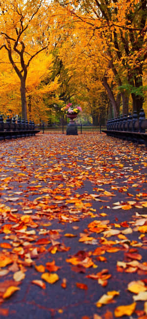 Autumn leaves cover a park pathway flanked by benches and golden trees.