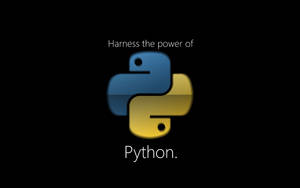 Python-Programmierlogo mit blauer und gelber Schlange auf schwarzem Hintergrund. — 4K programmierhintergrund Bild Wallpaper