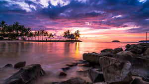Tropical beach at sunset with palm trees and colorful sky reflected in calm water.