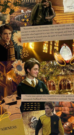 Tribute untuk Cedric Diggory