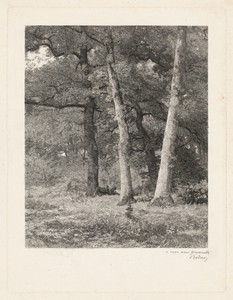A Forest Clearing by Karl Bodmer, in etching and drypoint on wove paper. Download this artwork as a high-resolution wallpaper for desktop, tablet, or mobile. — Karl Bodmer Wallpaper