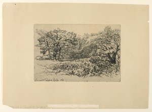 A River-Side Devon by Francis Seymour Haden, created 1868, in Etching on tan paper. Download this artwork as a high-resolution wallpaper for desktop, tablet, or — Art Picture