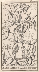 Aardaker by Caspar Luyken, created 1698, in paper; etching. Download this artwork as a high-resolution wallpaper for desktop, tablet, or mobile.