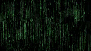 Grüner Binärcode fällt wie Regen auf einen schwarzen Bildschirm. — Data Science Wallpaper