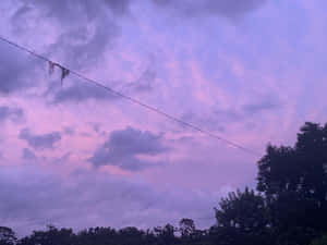 Purple and pink twilight sky with dark clouds and tree silhouettes. — Aesthetic Cloud Background