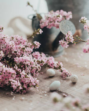 Pink flowers and speckled eggs on a wooden table with a watering can. — Aesthetic Easter Picture