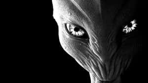 Close-up of an alien face with glowing eyes against a black background. — Alien Background