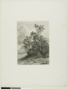 Alpine Landscape by Alexandre Calame, created 1861, in Etching on paper. Download this artwork as a high-resolution wallpaper for desktop, tablet, or mobile. — Illustration Wallpaper