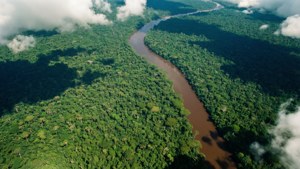 Pemandangan satelit hutan hujan Amazon dengan sungai berkelok-kelok dan bayangan awan.