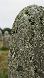 Makrobilde av en Carnac-menhir med mose- og lavdetaljer.