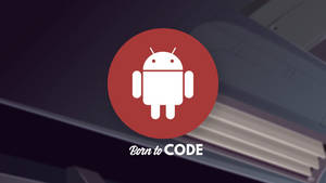 Logotipo do robô Android com texto 'Born to CODE' sobre fundo de estante de livros. — Desenvolvedor Android Papéis de Parede