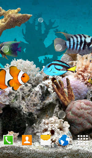 Colorful tropical fish and coral in clear blue ocean water. — Unicorn Fish Picture
