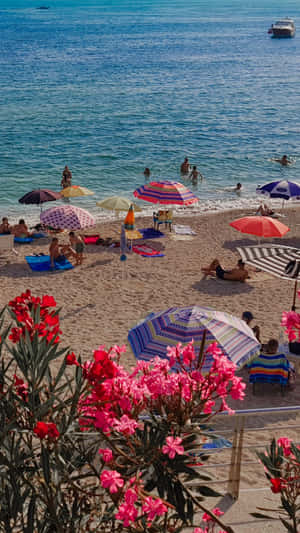 Pink flowers in foreground overlook a crowded beach with swimmers and sunbathers under bright sun.