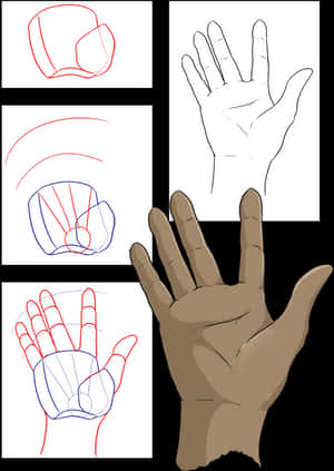 Hand drawing tutorial with progressive steps from outline to colored illustration. — Anime Hand PNG