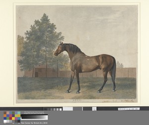 Anvil by George Townley Stubbs, in Color-printed stipple engraving, with etching and with hand coloring in pen and black ink and watercolor on medium, slightly — George Townley Stubbs Wallpaper
