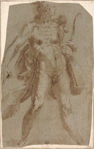 Apollo by Jan Harmensz. Muller, created c. 1600-1620, in Pen and brown ink, heightened with lead white (partly discolored), over black chalk, on blue laid paper — Illustration Background