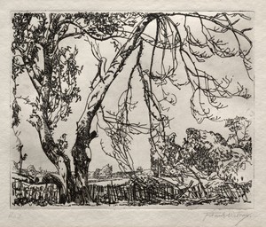 Apple Tree by Frank Wilcox, created c. 1918, in etching. Download this artwork as a high-resolution wallpaper for desktop, tablet, or mobile. — Frank Wilcox Wallpaper