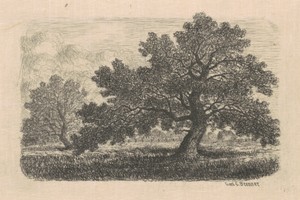 Apple Trees by Carl C. Brenner, created 1870s-1880s, in etching in black on wove paper. Download this artwork as a high-resolution wallpaper for desktop, tablet