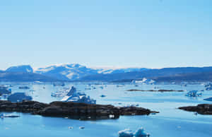 Arktische Gewässer mit Eisbergen und schneebedeckten Bergen unter einem klaren blauen Himmel. — Arctic Cod Wallpaper