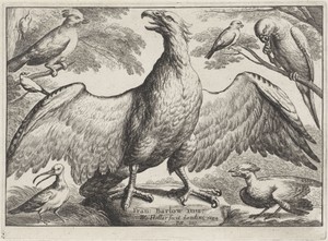 Arend by Wenceslaus Hollar, created 1654, in paper; etching. Download this artwork as a high-resolution wallpaper for desktop, tablet, or mobile. — Painting Picture